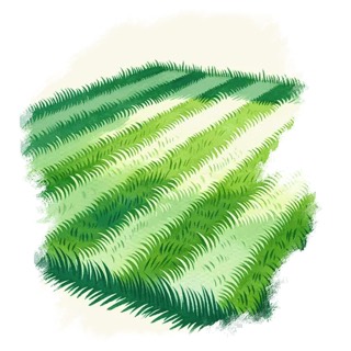 Illustration du mot « gazon », pour travailler le son « z »